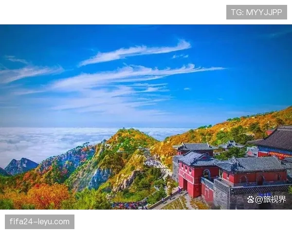 山东泰山冲击巅峰还需检验，目前形势仍处稳步发展阶段